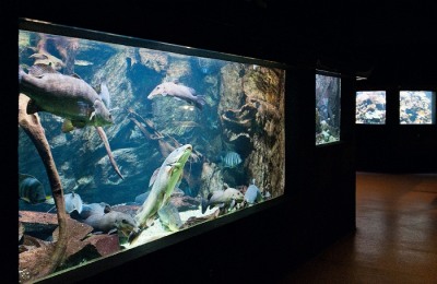 Unusual ways to rediscover Paris